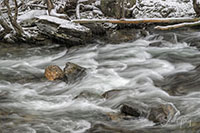 Smokies_Color_20240115_105_edit_VERO